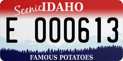 ID license plate E000613