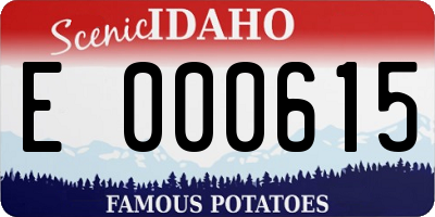 ID license plate E000615