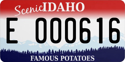 ID license plate E000616