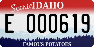 ID license plate E000619