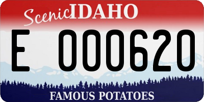 ID license plate E000620