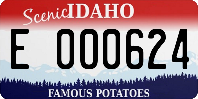ID license plate E000624