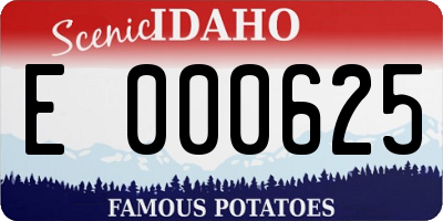 ID license plate E000625