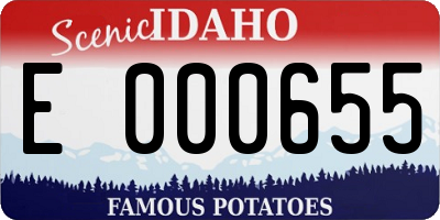 ID license plate E000655