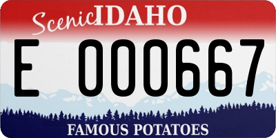 ID license plate E000667