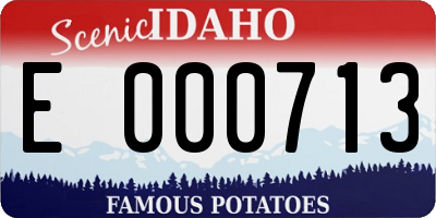 ID license plate E000713