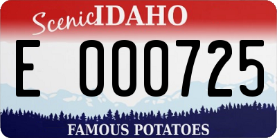 ID license plate E000725