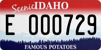 ID license plate E000729