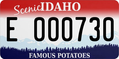 ID license plate E000730