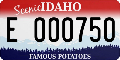 ID license plate E000750