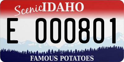 ID license plate E000801