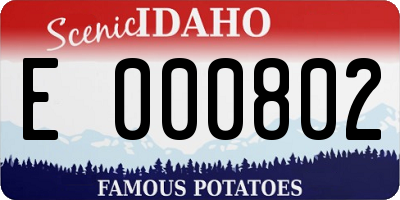 ID license plate E000802