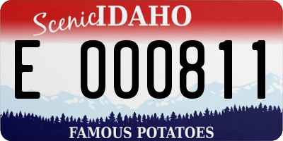 ID license plate E000811