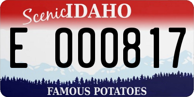 ID license plate E000817