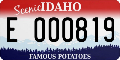 ID license plate E000819