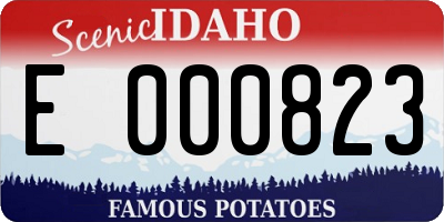 ID license plate E000823