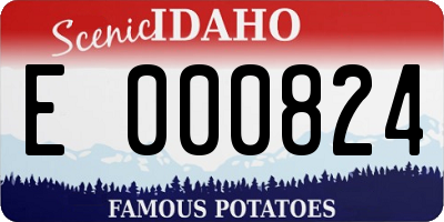 ID license plate E000824