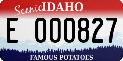 ID license plate E000827