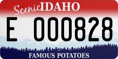 ID license plate E000828