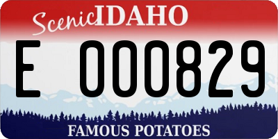 ID license plate E000829