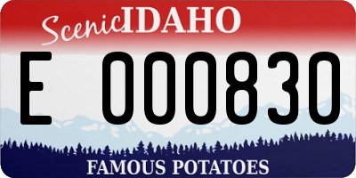 ID license plate E000830