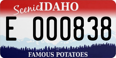 ID license plate E000838