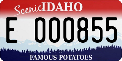 ID license plate E000855