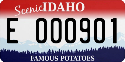 ID license plate E000901