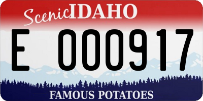 ID license plate E000917