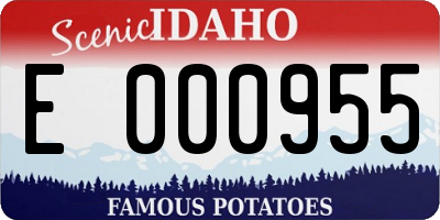 ID license plate E000955