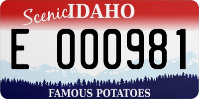 ID license plate E000981