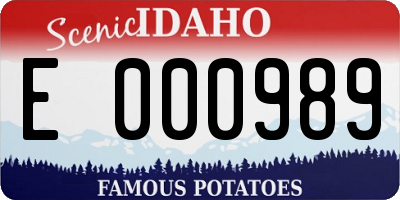 ID license plate E000989