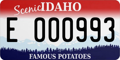 ID license plate E000993