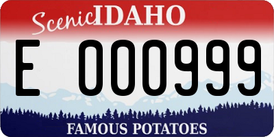 ID license plate E000999