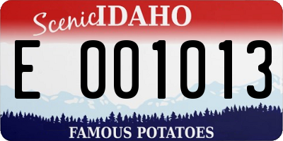 ID license plate E001013