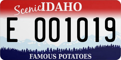 ID license plate E001019