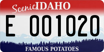 ID license plate E001020