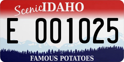 ID license plate E001025