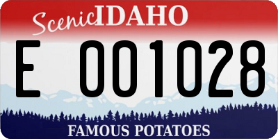 ID license plate E001028