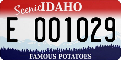 ID license plate E001029