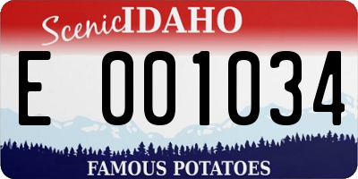 ID license plate E001034