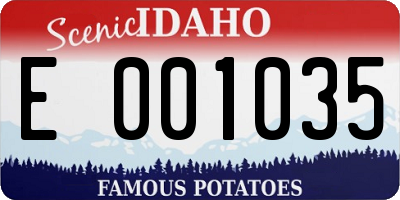 ID license plate E001035