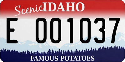 ID license plate E001037