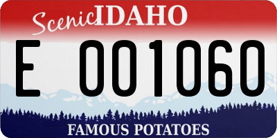 ID license plate E001060