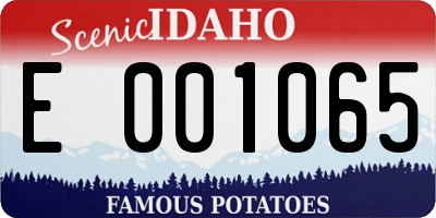 ID license plate E001065