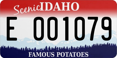 ID license plate E001079