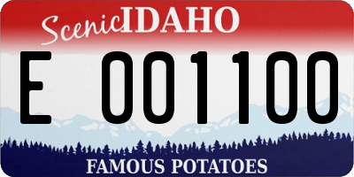 ID license plate E001100