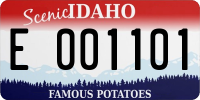 ID license plate E001101