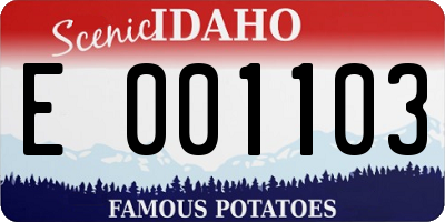 ID license plate E001103