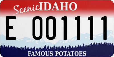 ID license plate E001111